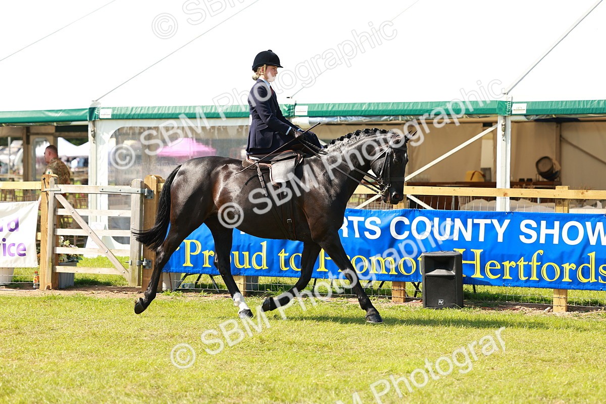 SBM_13118 - Class 70-71 - Side Saddle