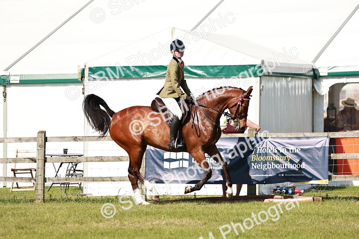 SBM_18885 - Class 114 - RIHS & SEIB Open Working Show Horse