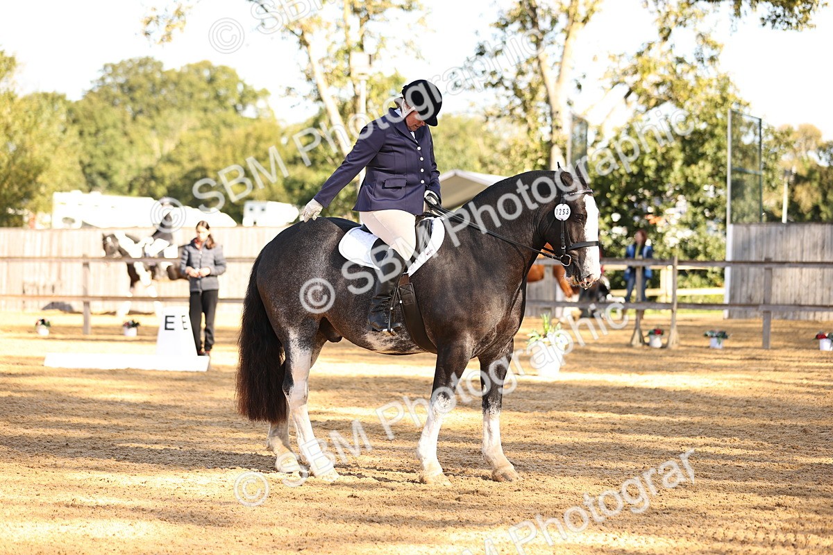 SBM_01422 - D1 - Small Tour Championship