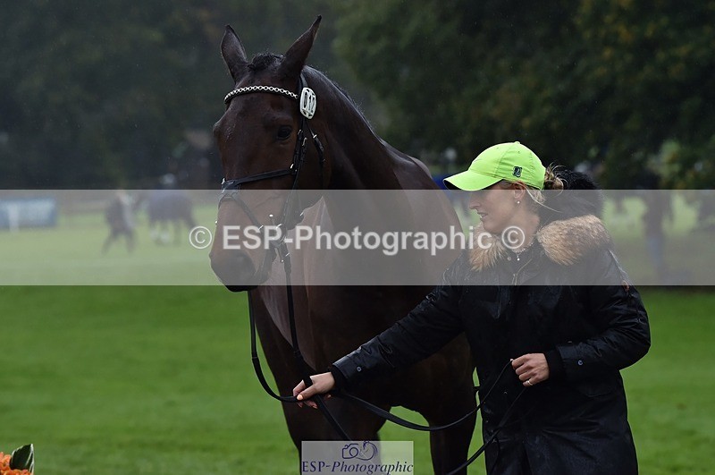 231018-120948-00110 - 012-ROMANY.CRICKET-Nana.Dalton-TrotUp