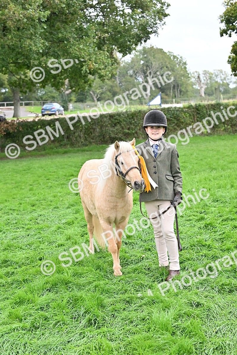 SBM_68670 - S42 - Junior Handler 9-12 Years