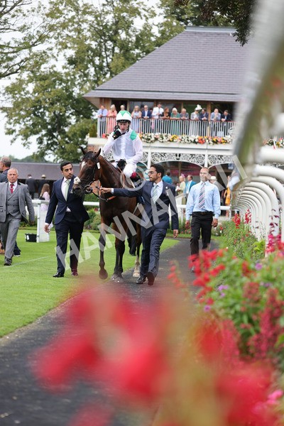yr20082021r5-33 - Race 5 4.10pm British Stallion Studs EBF Convivial Maiden Stakes (Plus 10 Race)
