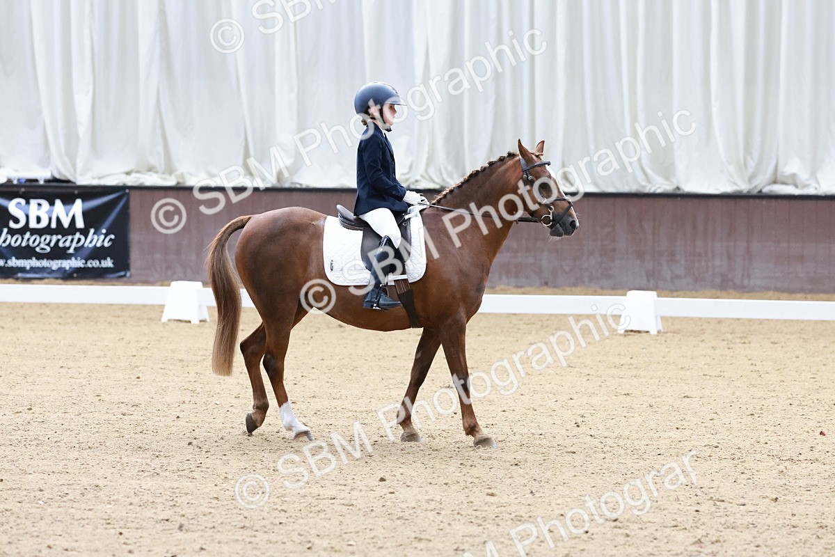 SBM_003156 - Intro 2