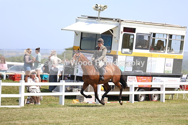 3E7A9361 - Class 12: Open Racehorse to Show Horse