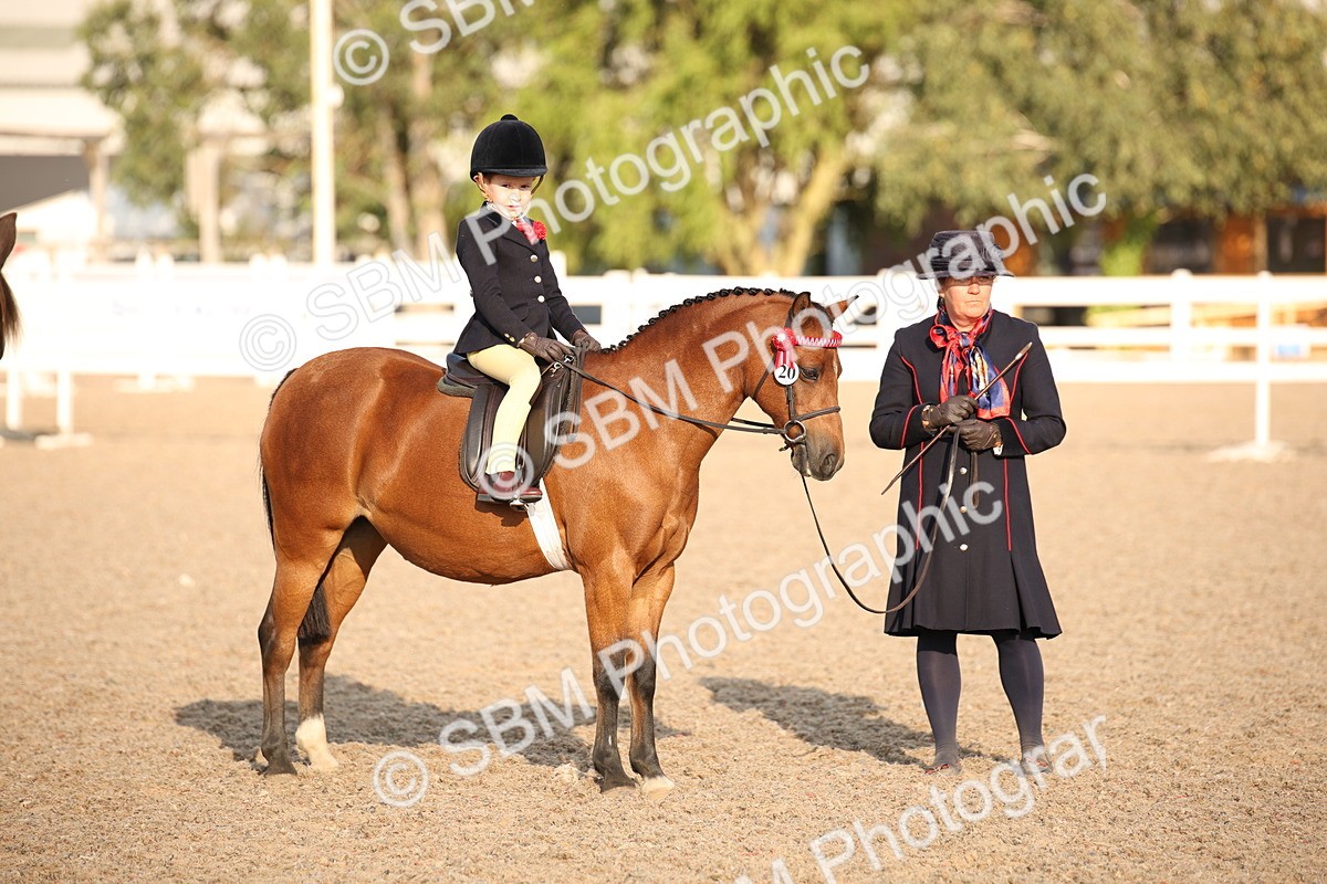 SBM_09209 - Regional Ridden Champ