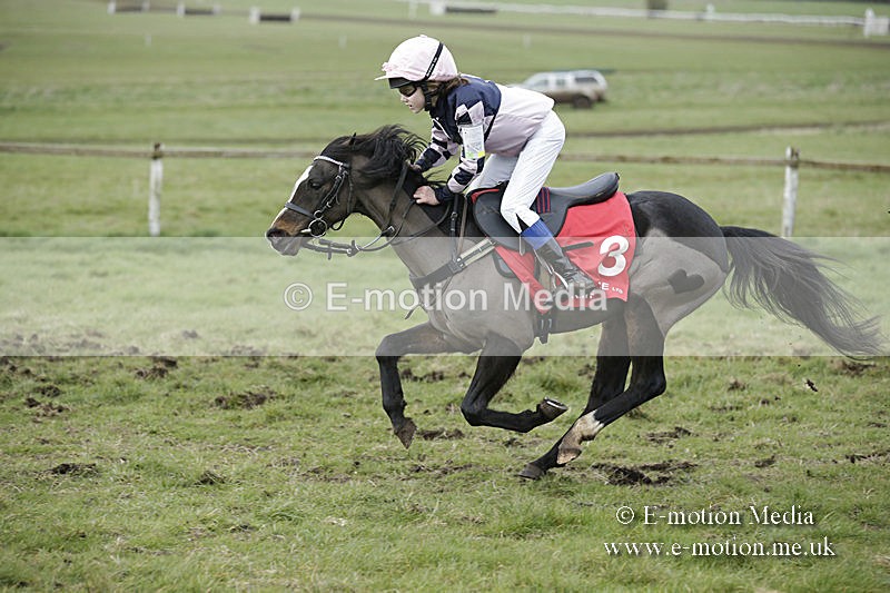 PtP 150320 0801 - New Forest Point-to-Point Larkhill 15/03/20
