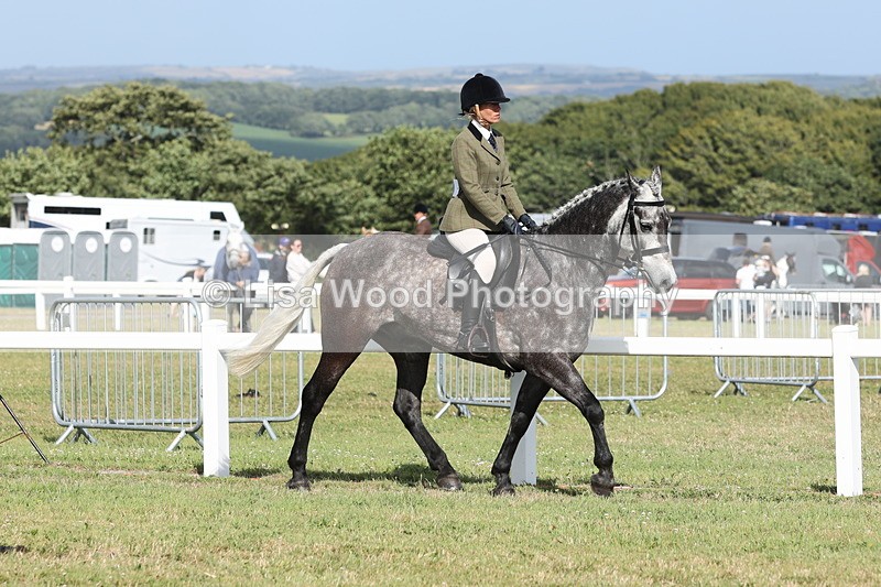 JPP_2850 - Class 20: Working Hunter 70cm