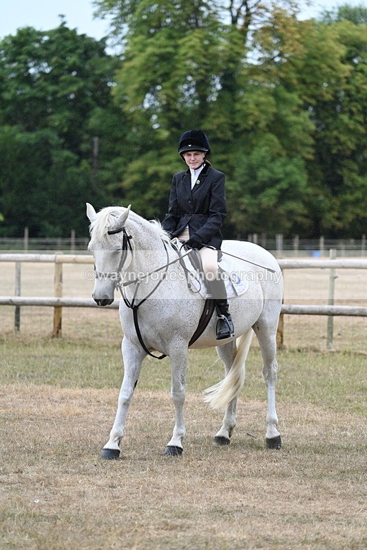 WJ7_0800 - Class 7 Riding Club Show Horse