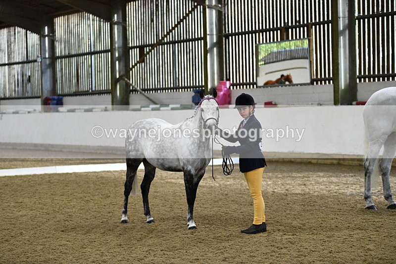 WJ5_3966 - Class 2 Best Condition In hand