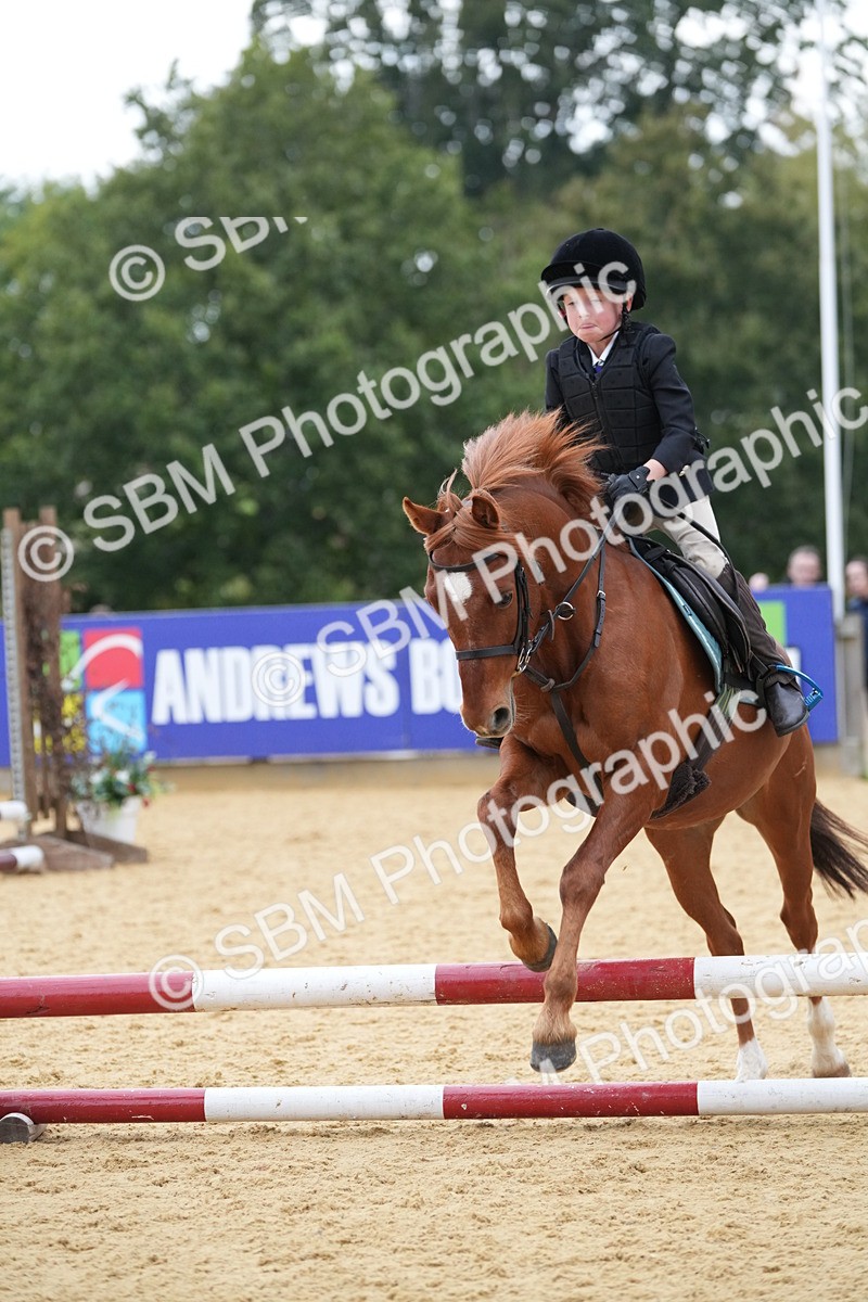 SBM_74617 - J4 - Mini Tour Junior Pony 45cm Championship