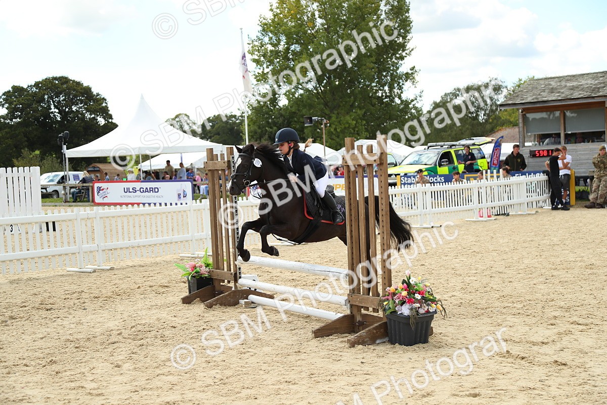 SBM_41411 - J6 - Junior Pony 55cm Championships