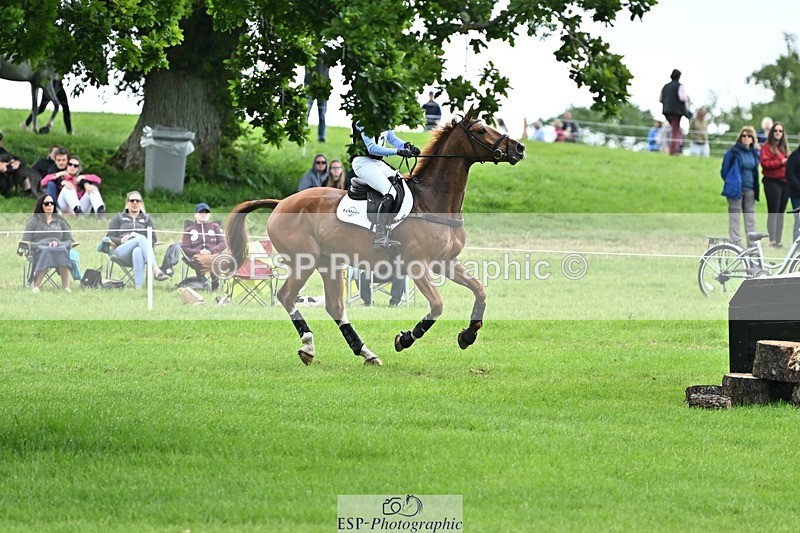 240525-162056-17563 - 233-SILVESTERS_FINESSE-Rosalind_Canter