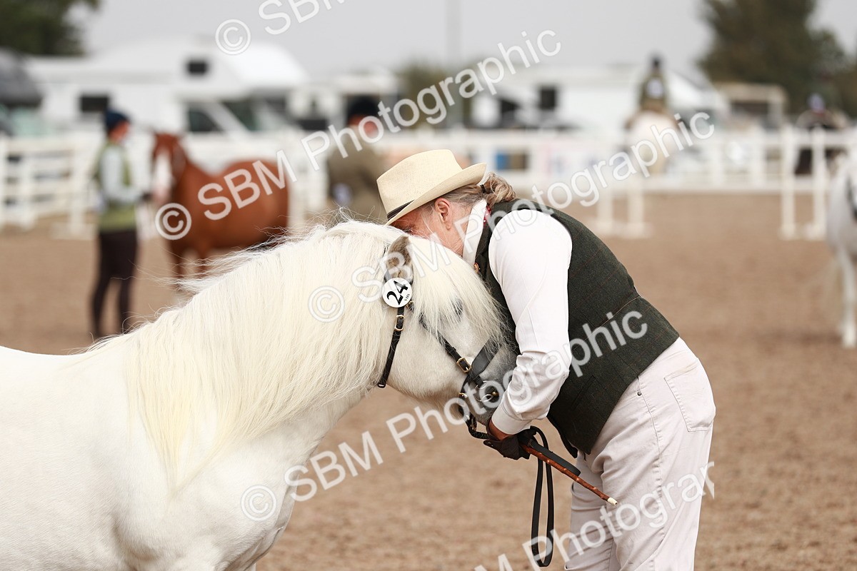 SBM_12527 - Class 207 IH M&M