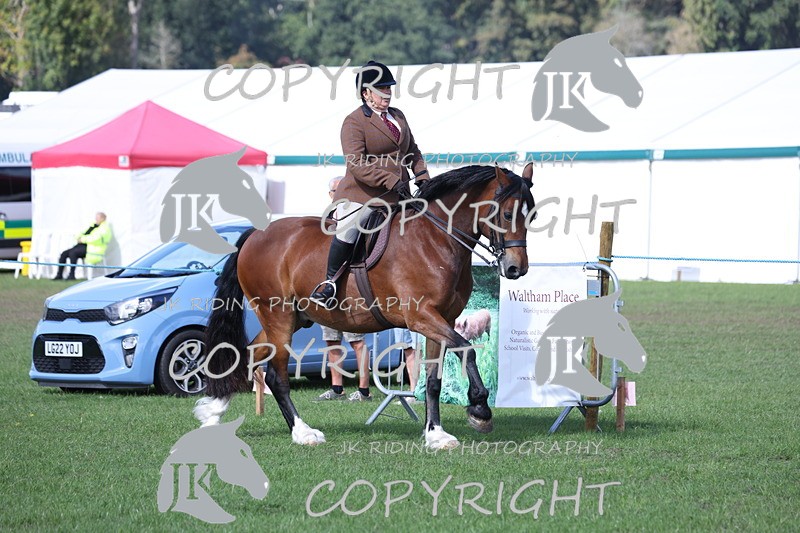 APP_3106 - Class 11 Veterans ridden