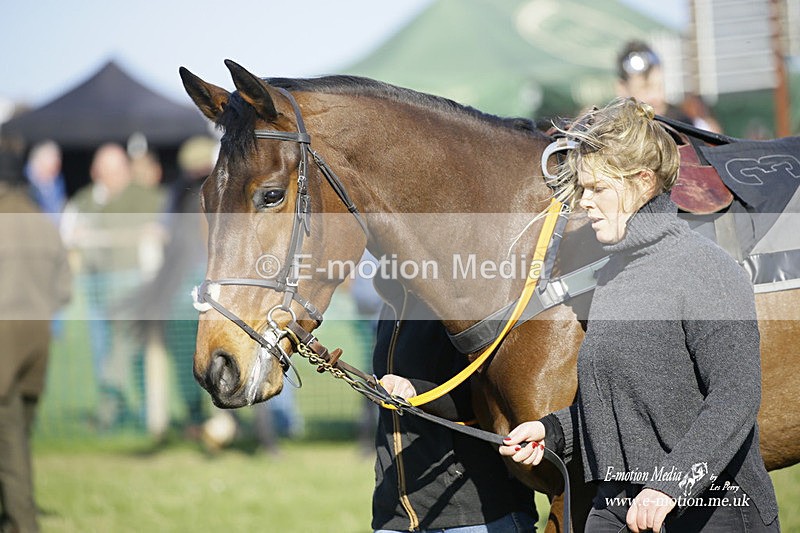 PtP 190322 643 - Wilton Hunt PtP Milborne St Andrew 19/03/22