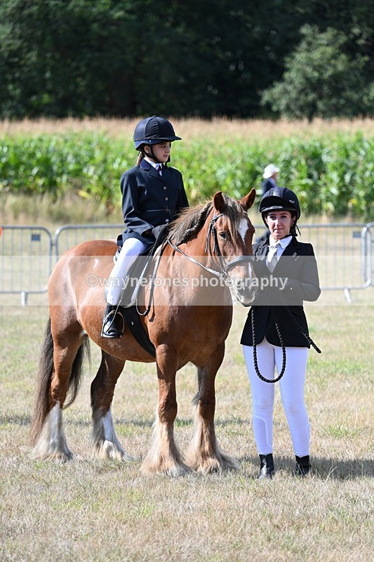 WJ7_2720 - Class 8 Ridden Tack & Turnout