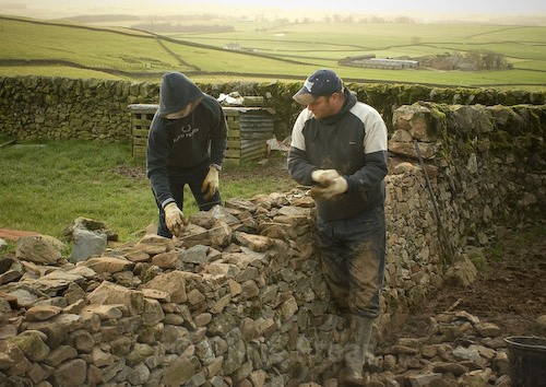 1 - Rab - Drystone Dyker