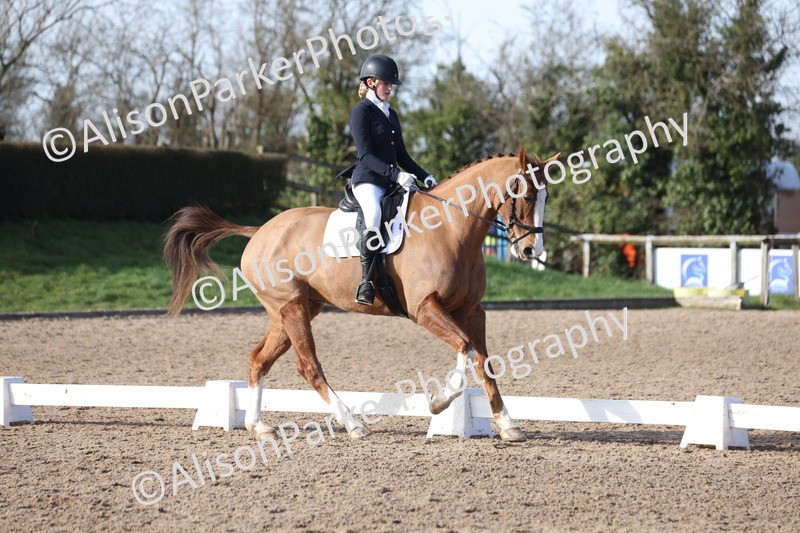 20260214-0604 - Class 5 - Novice 3