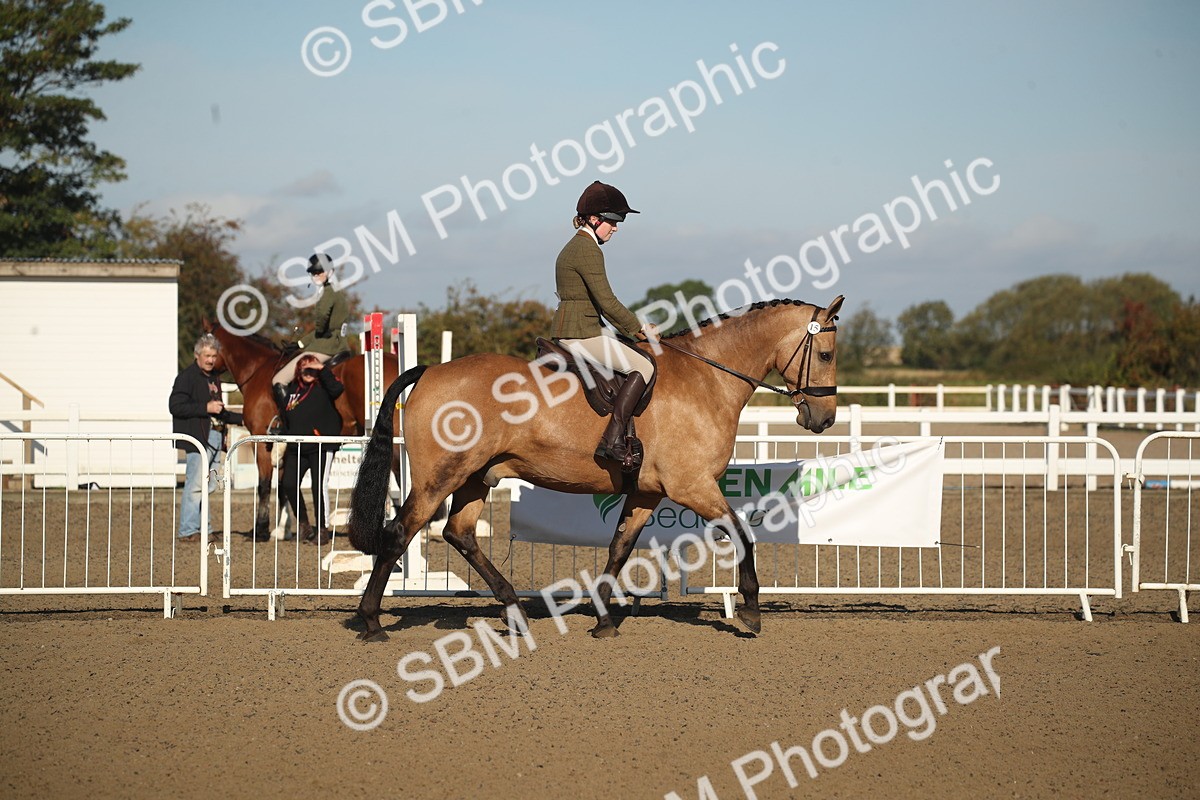 SBM_11335 - Class 501 -Riding Club Pony