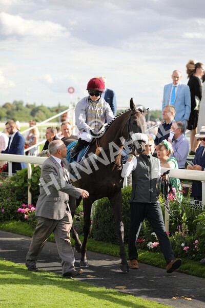 yr19082022r7-9 - Race 7 5.20pm Sky Bet Mile Stakes