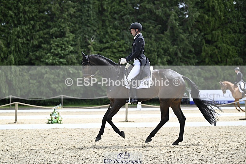 000101-190501-03850 - 426-VISCOUNT_VIKTOR-Tim_Price