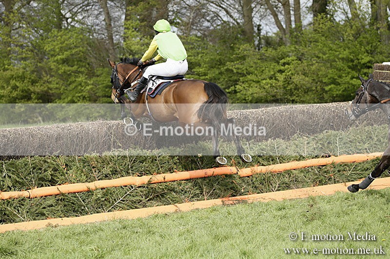 PtP 170417 306 - Old Berks Point-to-Point Lockinge 17/04/17