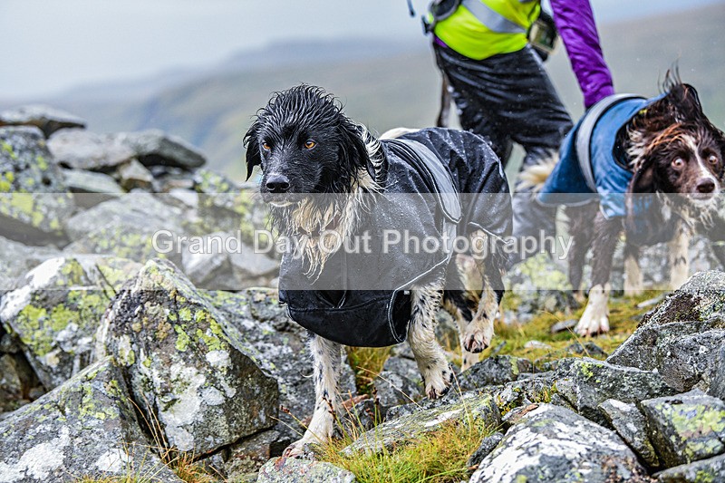 Matterdale-263 - Kong Matterdale Horseshoe Fell Race Saturday 20th August 2022