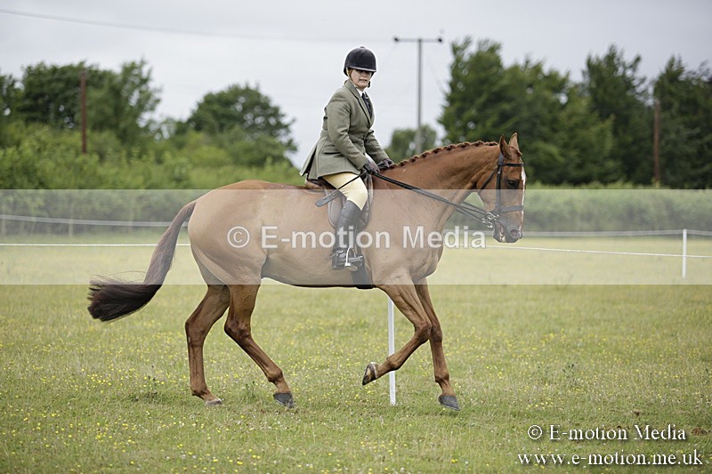 BVR160717-778 - Ring 1 BVRC Show 16/07/17