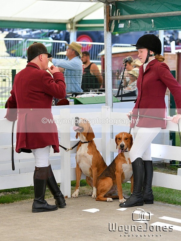 WJ5_0572 - Berks & Bucks at the Great Yorkshire Show 2025