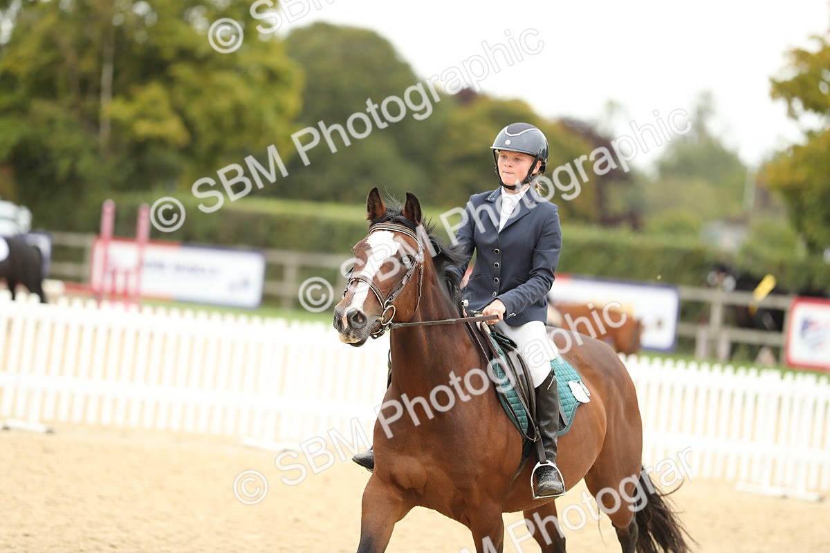 SBM_63093 - Supreme championship 75cm 80cm