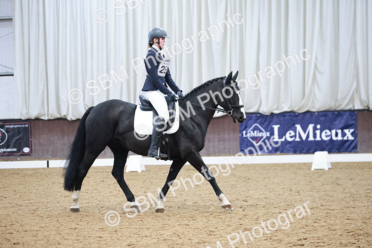 SBM_004608 - Ring 3 - International -  Working Hunter Classes 23-2-25