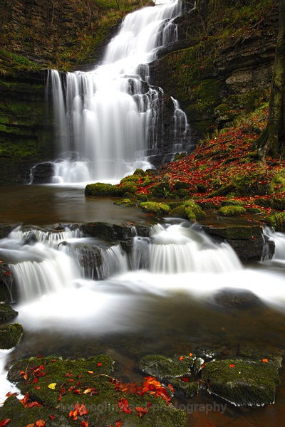 Scaleber Falls near Settle    ref 9318 - The Pennines and Cumbria