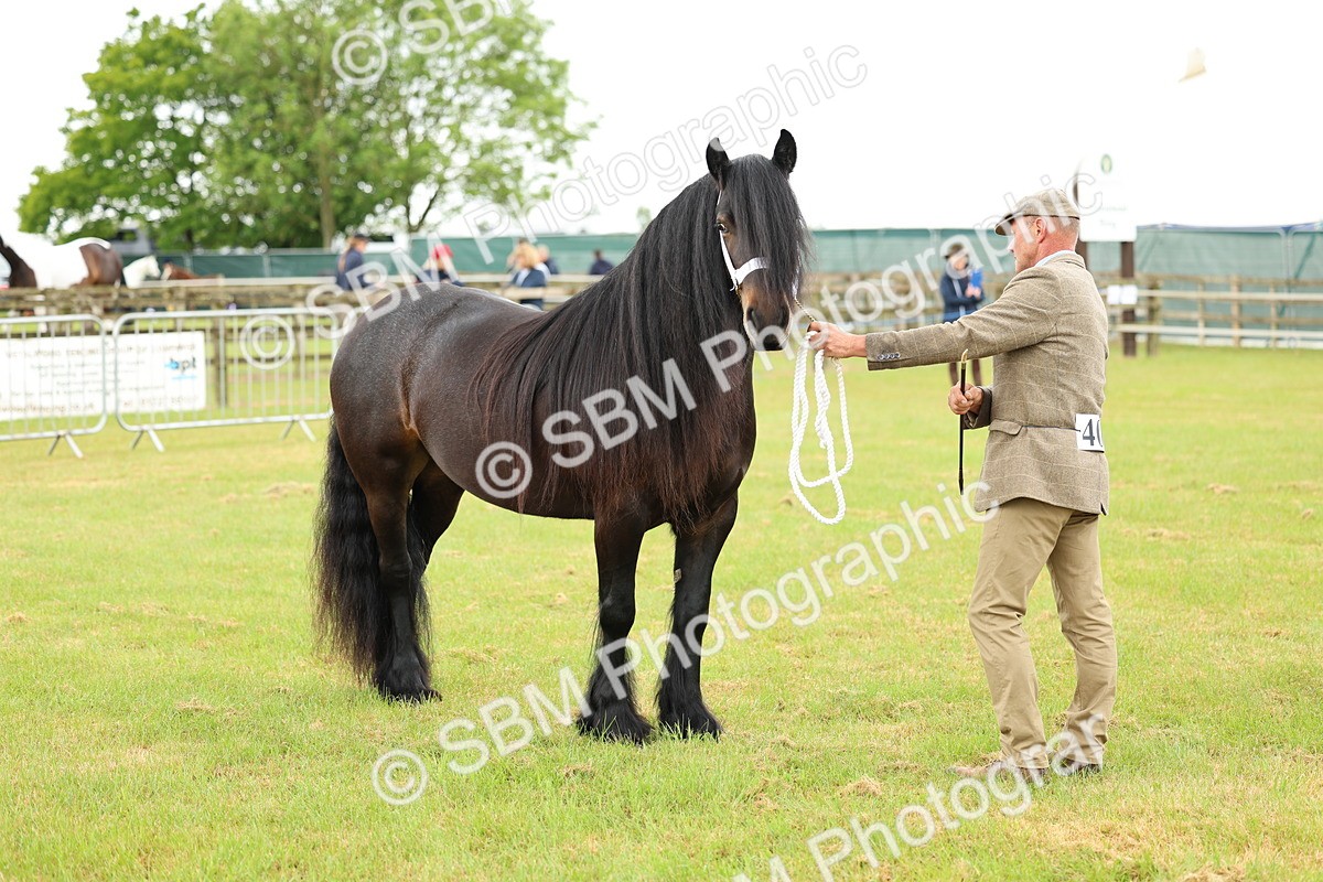 SBM_00514 - Class 58-67 - M&M Non Welsh Pony In hand