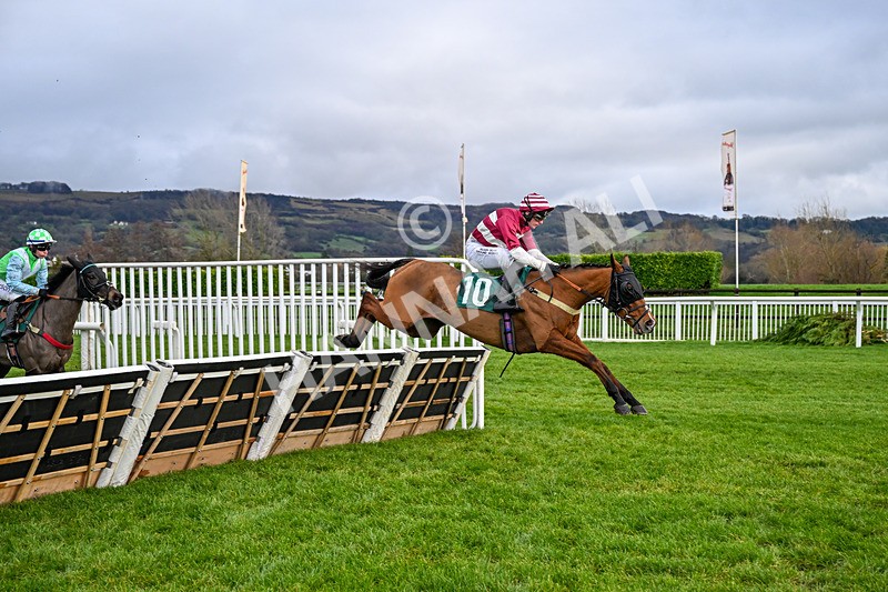 121225-Race 3-Moutarde-4997 - Race 3