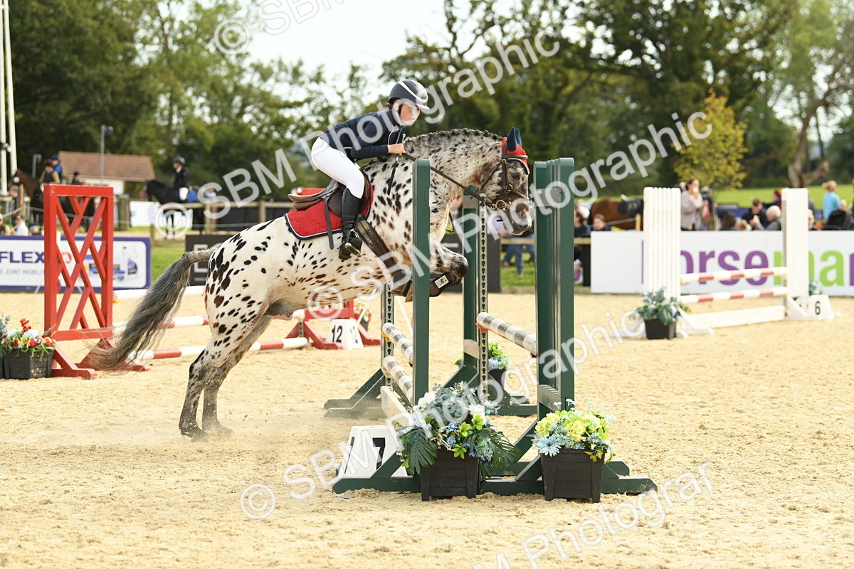 SBM_71088 - J15 - Junior Pony 70cm Championship