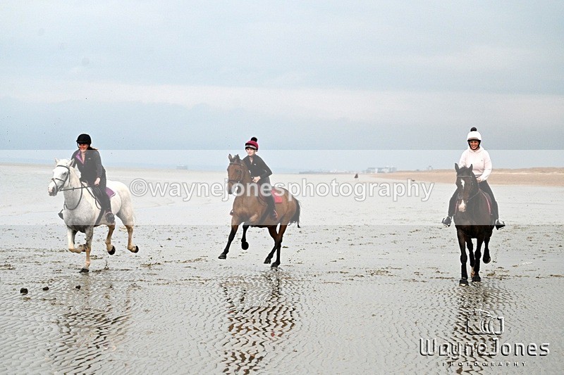 WJ7_9141 - Hayling Island Beach Shoot 22-09-24