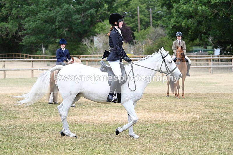 WJ7_0588 - Class 2 Best rider