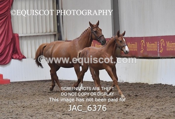 JAC_6376 - 19 Luca