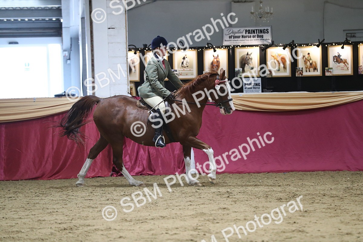 SBM_08450 - Class 11R Regional Ridden Veteran