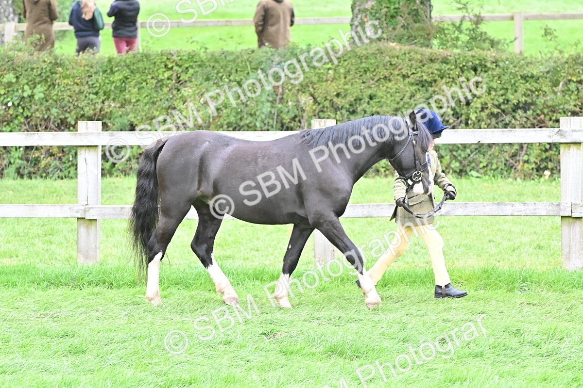 SBM_66770 - S41 - Junior Handler 8 Years & Under