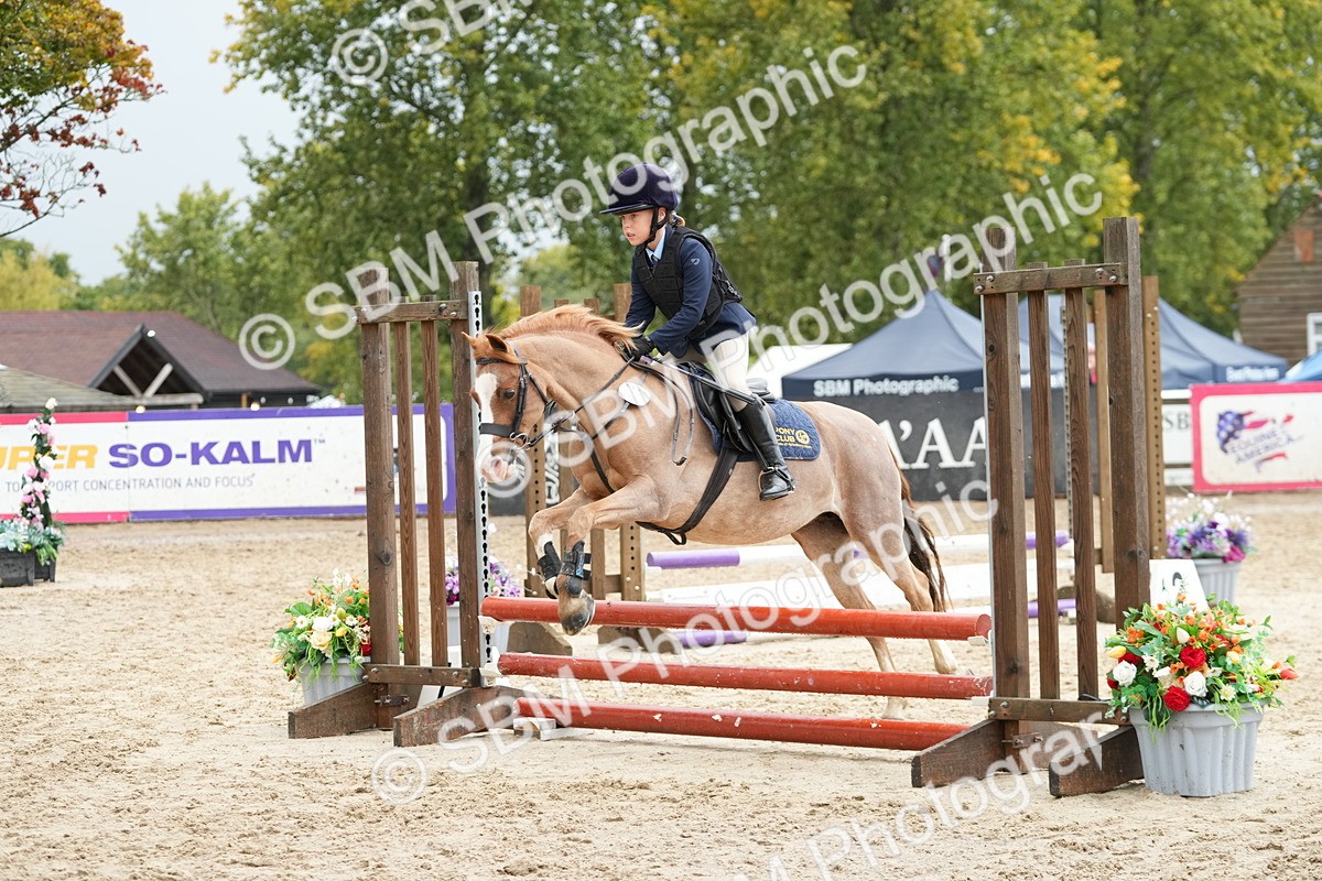 SBM_33419 - J5 - Junior Pony 50cm Championship