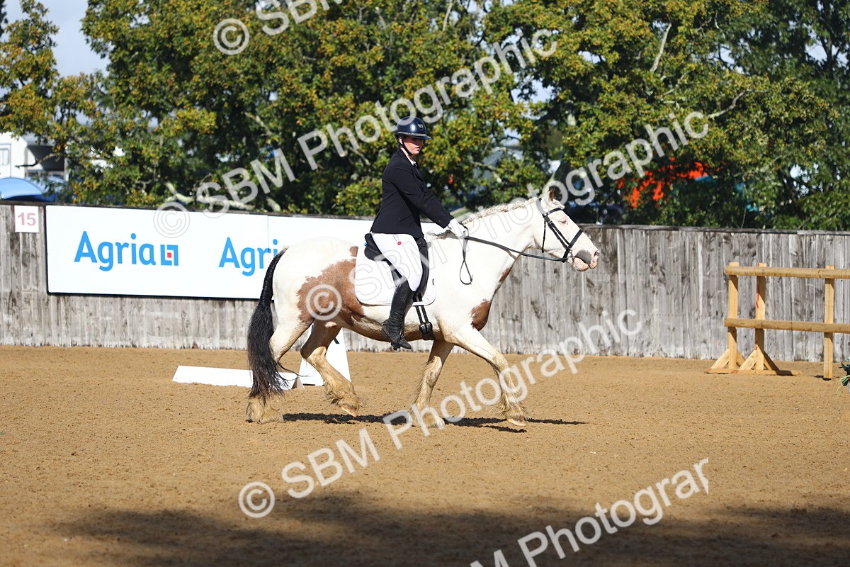 SBM_38998 - D21 - Junior Championship Intro 1