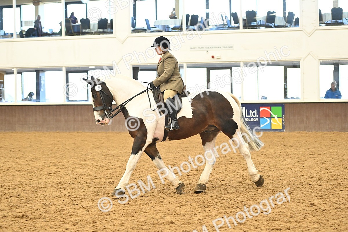 SBM_002038 - Class 21 - BSHA Ridden Show Cob