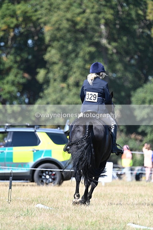 WJ7_9884 - Time 11:03 to 11:28