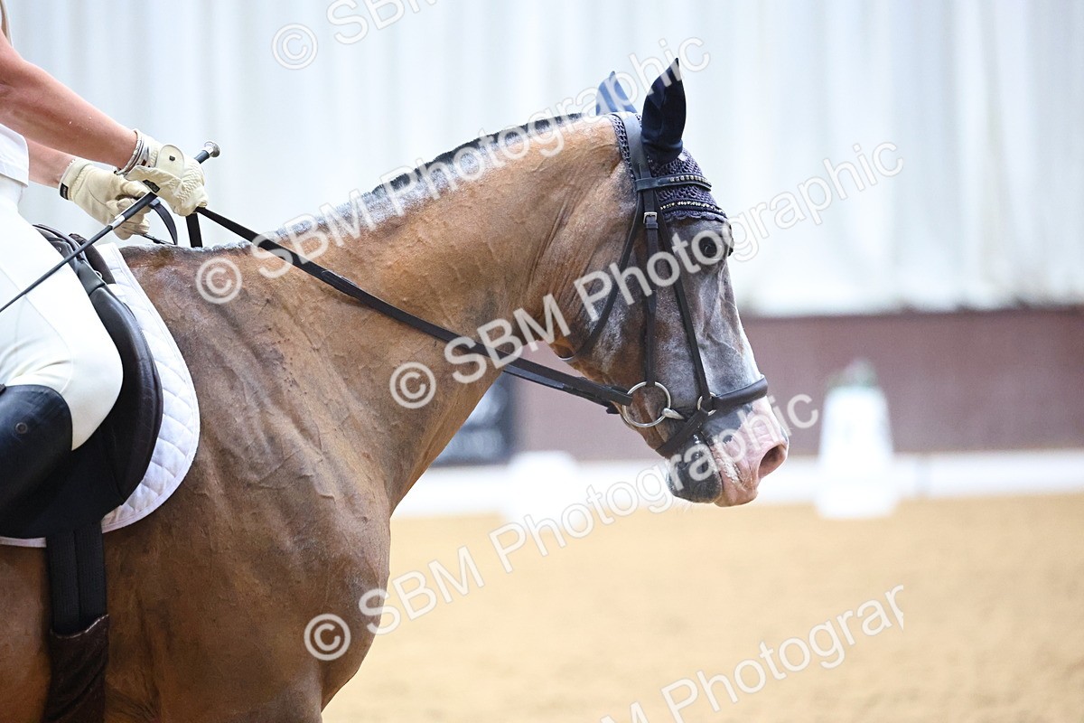 SBM_020841 - Class 11 - P5