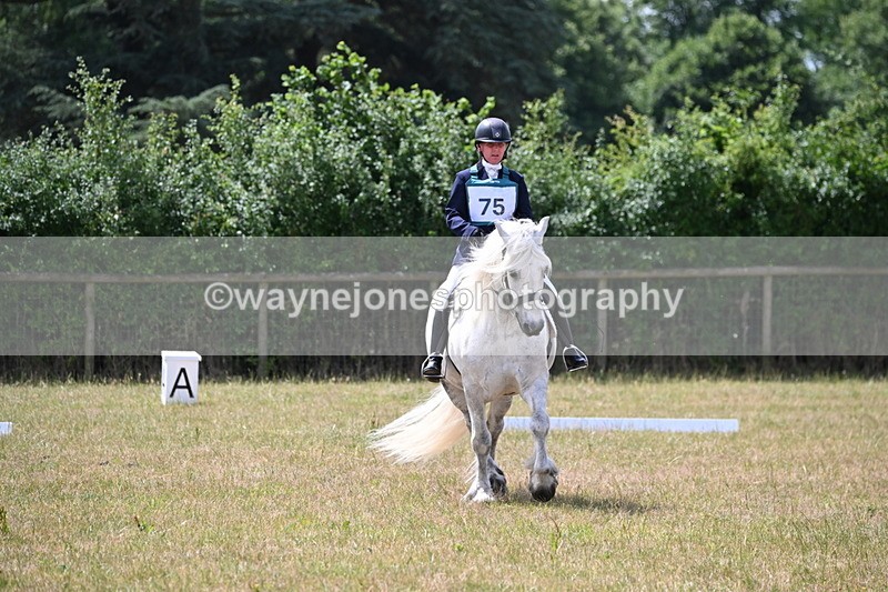 WJ6_3464 - Time 11:34 to 11:43