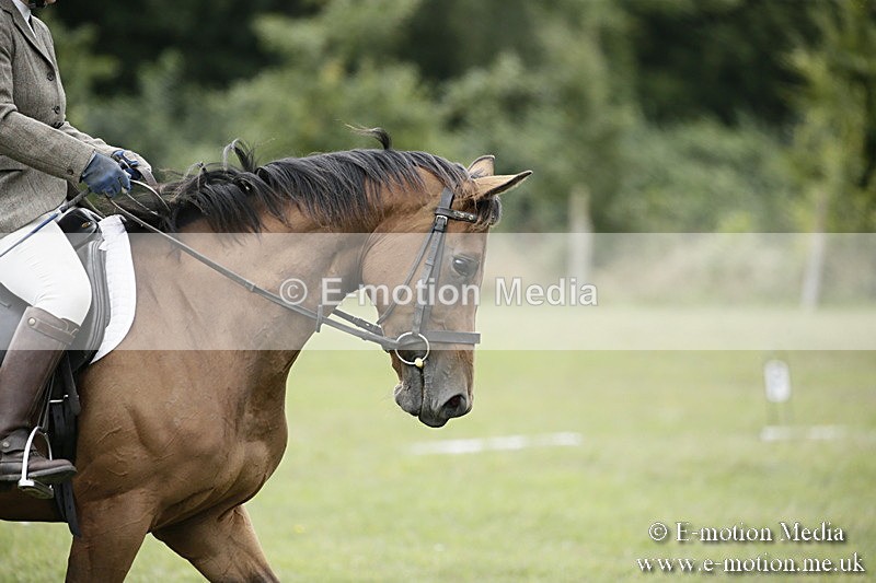 BVR080918 212 - BVRC Novice Dressage & CR 08/09/18