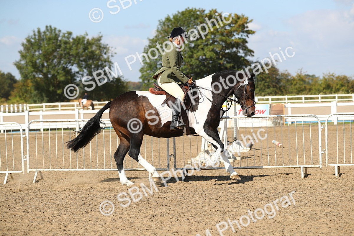 SBM_03145 - Class 44 Riding Club Horse/ Pony