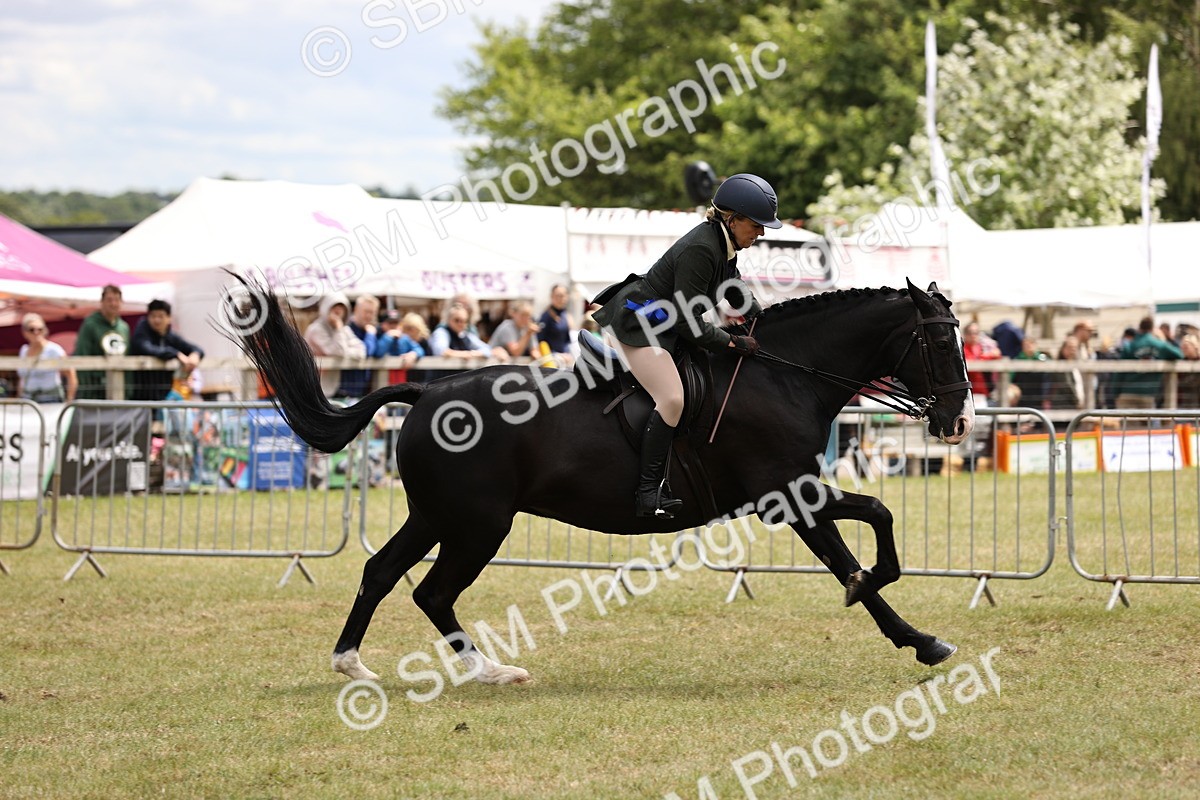 SBM_14811 - Class 88-89 - LIHS BSHA Rising Star of Ridden Hunter Type