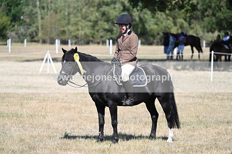 WJ7_4161 - Class 9 Mountain & Moorland Ridden